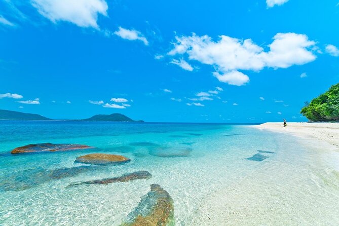 Fitzroy Island Day Trip From Cairns - Reasons to Choose This Tour