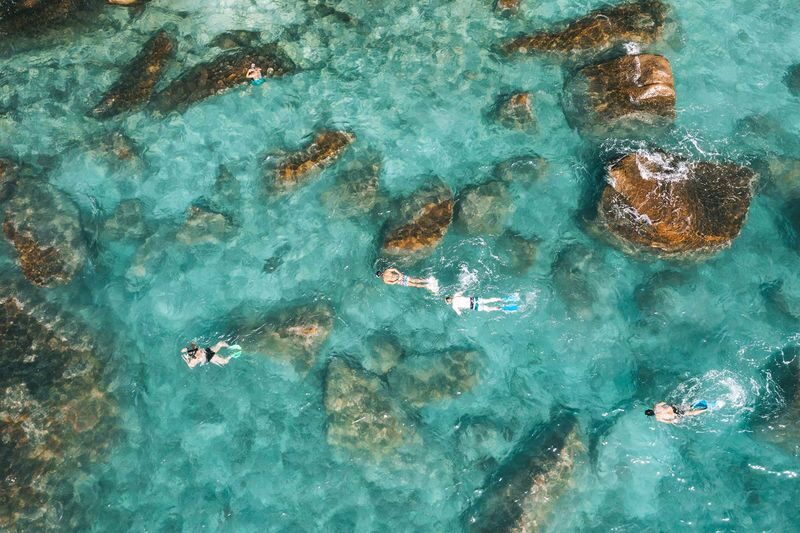Fitzroy Island Round-Trip Ferry Transfers from Cairns - The beach and reef are the main event