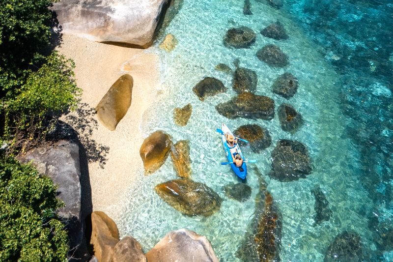 Fitzroy Island Round-Trip Ferry Transfers from Cairns - Rainforest paths add a different side of the island