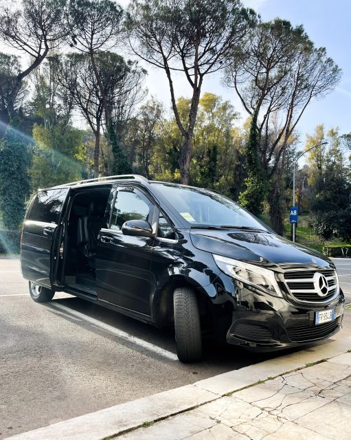 Fiumicino Airport (FCO) to Rome - Private Arrival Transfer - Service Details