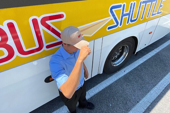 Fiumicino Airport From/To Vaticano Transfer - Inclusions and Overview