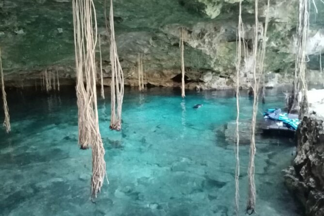 Five Cenotes Jungle Experience in the Riviera Maya - Photos and Visuals of the Cenotes