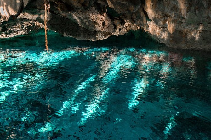 Five Cenotes Jungle Experience in the Riviera Maya - Information About the Tour Provider