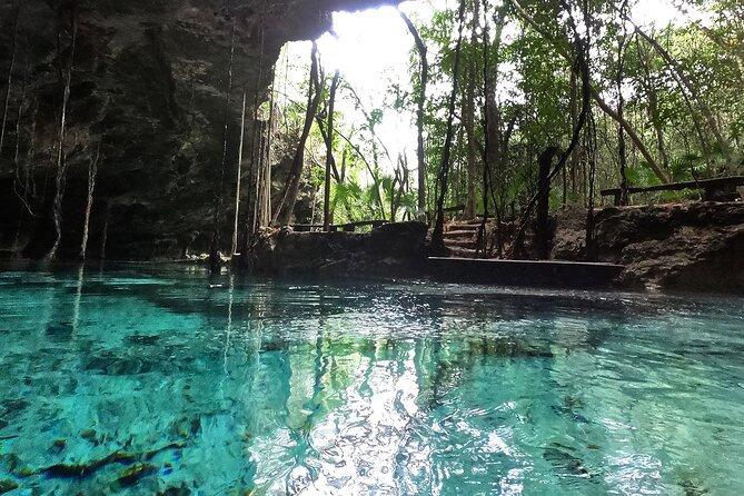 Five Cenotes Jungle Experience in the Riviera Maya - Contact Information and Company Background
