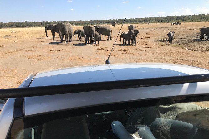 Five-Day Hwange NP, Chobe NP and Victoria Falls Combo - Wildlife Parks and Falls Experience