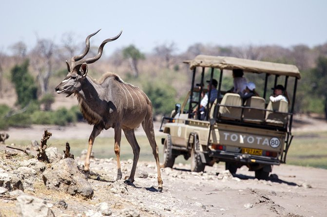 Five-Day Hwange NP, Chobe NP and Victoria Falls Combo - Frequently Asked Questions