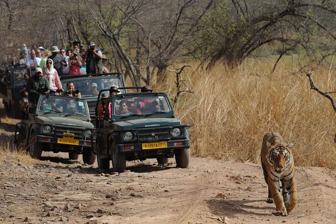 Five Days Golden Triangle Tour With Ranthambore Delhi Agra Jaipur - Good To Know