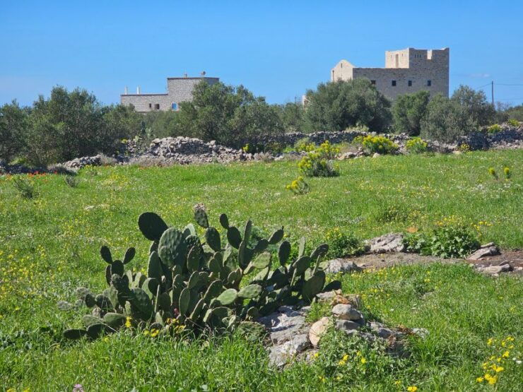 Five Days of Culinary Exploration in Laconias Peloponnese - Good To Know