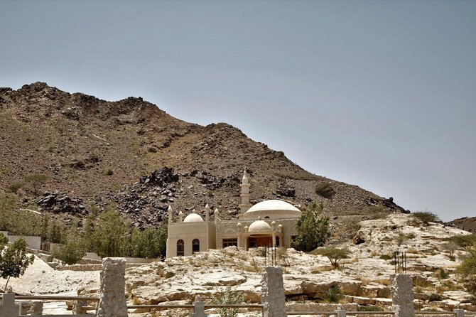 Five Emirates Tour in a Day From Dubai - Know the East-Coast. - Common Questions