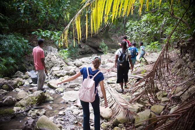 Five Hour Day Pass: 3 Hour Fun Hike and Challenges/Great Experiences/Bajan Lunch - Adventure-packed Hiking Trail Exploration