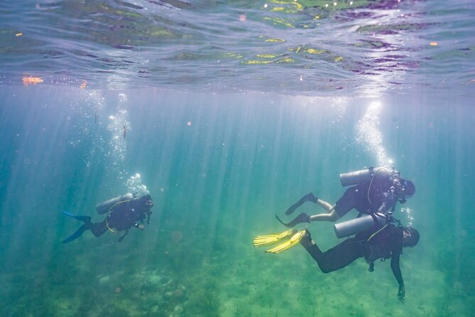Five Hour Diving Class for Beginners in Morelos - Additional Information