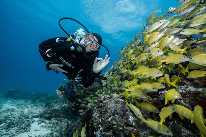 Five Hour Diving Class for Beginners in Morelos - Common Questions