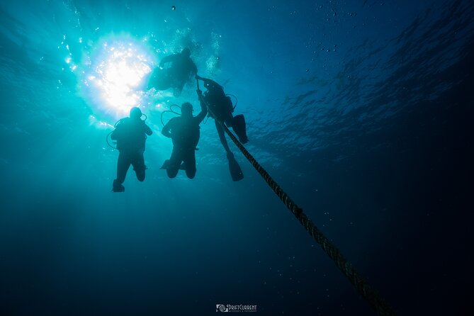 Five Hour Diving Class for Beginners in Morelos - The Sum Up