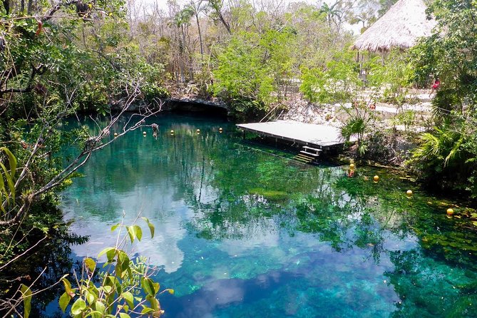 Five-Hour Private Transportation Service  - Tulum - Overview and Inclusions