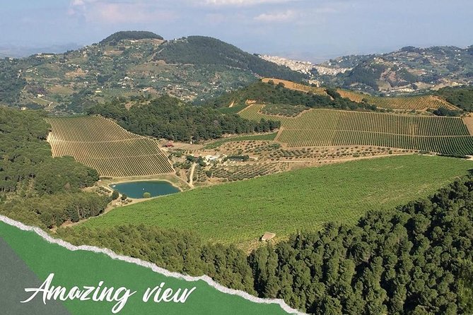 Five Sense Outdoor Experience - The Sum Up