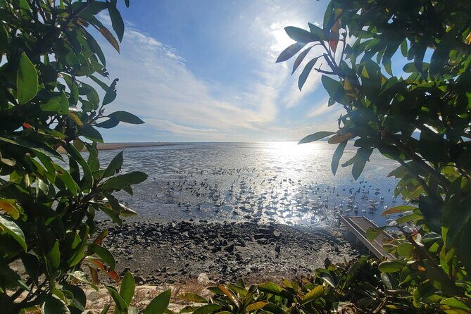 Five Senses Journey in Busan Full Day - The Sum Up