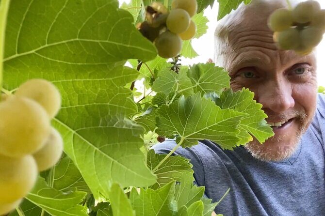 Five Star AZ Wine Crawler Tour 4- 12 PPL - Transportation and Group Size