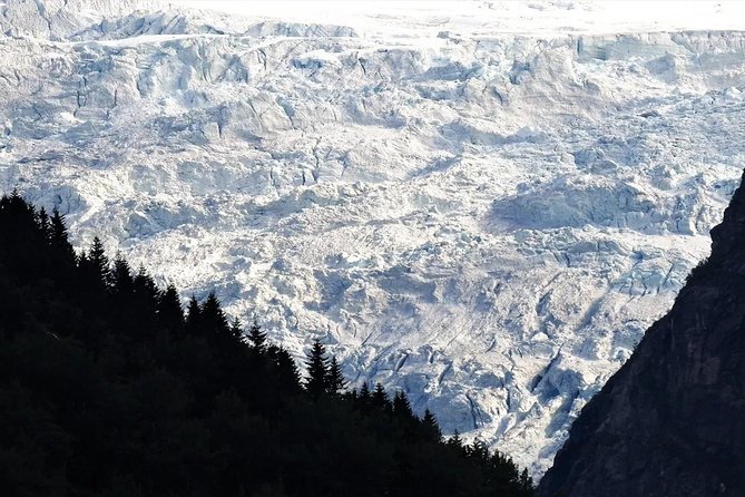 Fjaerlandsfjord and Boyabreen Glacier in A Single Day Tour  - Balestrand - Meeting and Pickup Details