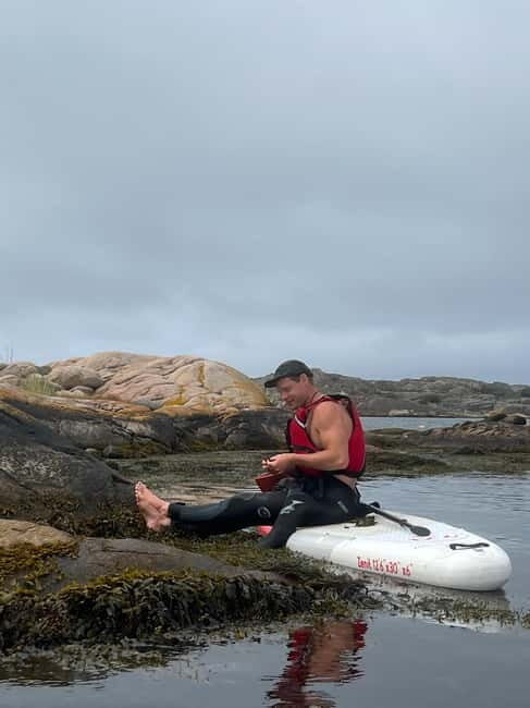 Fjällbacka: Seaweed Picking and SUP Paddling Tour - An Authentic Day on the Water and Islands of Fjällbacka