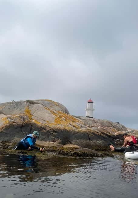 Fjällbacka: Seaweed Picking and SUP Paddling Tour - Who Will Love This Tour?