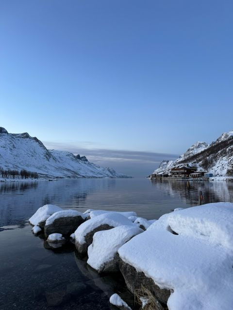 Fjord Foto Tour With Chance to See the Northern Lights - Tour Highlights