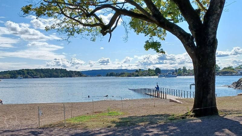 Fjord island hopping tour in Oslo - Ferry views and swimming in the Oslofjord