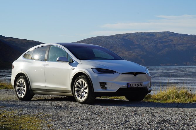 Fjord Sightseeing - Eco Friendly Tesla Model X - Cancellation Policy