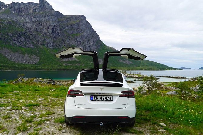 Fjord Sightseeing - Eco Friendly Tesla Model X - Reviews