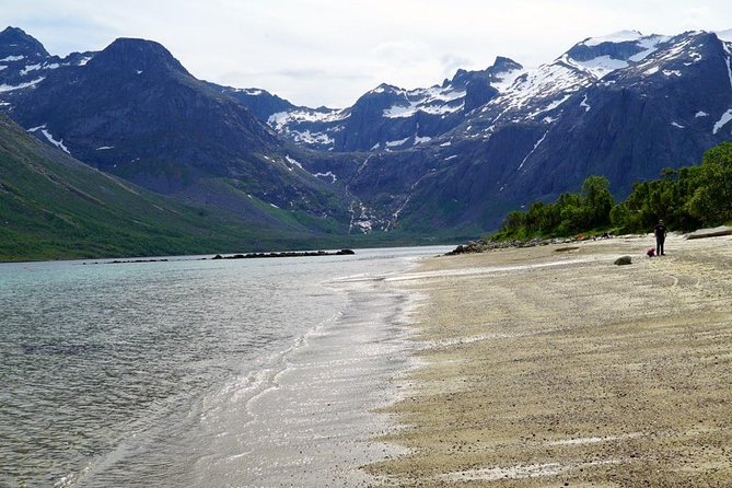 Fjord Sightseeing - Eco Friendly Tesla Model X - The Sum Up