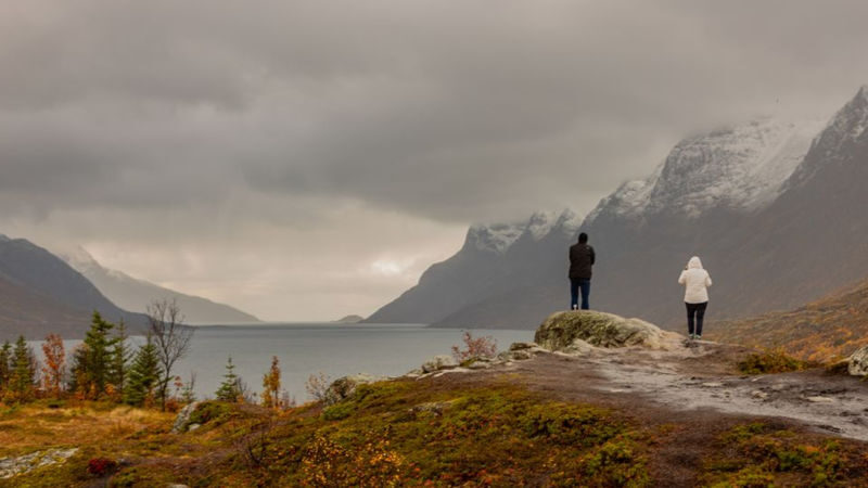 Fjord Tour with Lunch from Tromso - From Tromsø, the scenery starts on the road