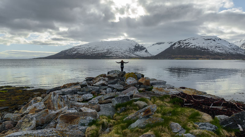 Fjord Tour with Lunch from Tromso - Wildlife is a bonus, not the main promise