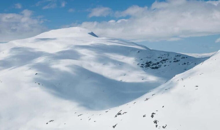 Fjords and Glacier: Helicopter Tour - Who Should Consider This Tour?