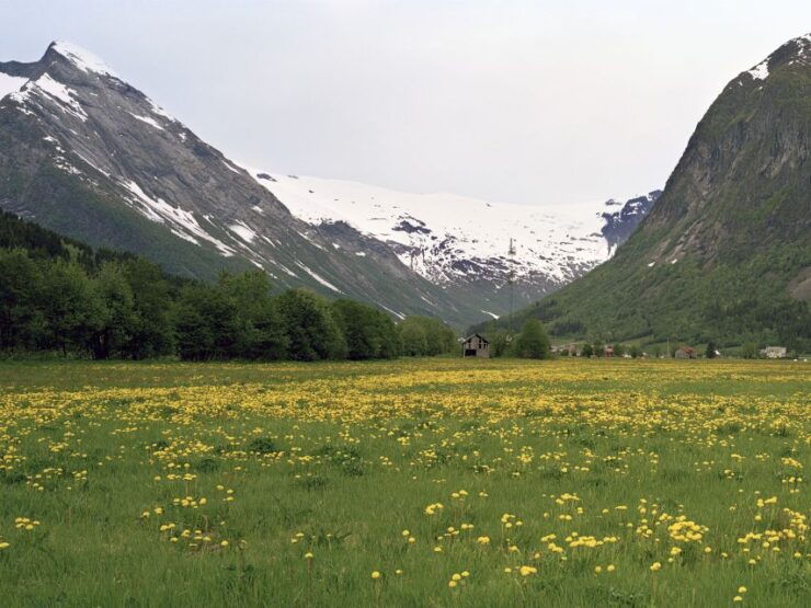 Fjords: Private Trip With Train and Cruise Ride - Activity Details
