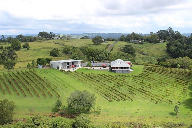 Flame Hill Vineyard Helicopter Tour - Glasshouse Mt Experience - Alcoholic Beverages