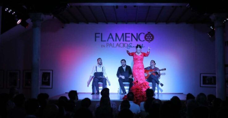 Flamenco in the Palace - Flamenco Artists and Venue