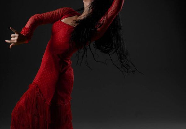 Flamenco La Soleá & Alhambra Ticket - Frequently Asked Questions