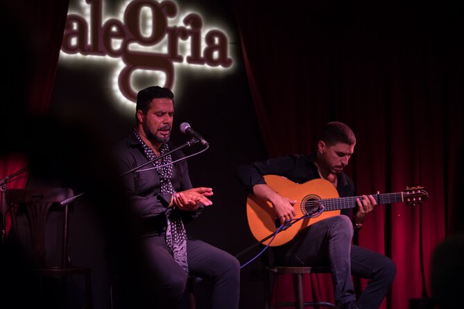 Flamenco Passion in Málaga: Show With Optional Tasting - Overview of the Flamenco Show