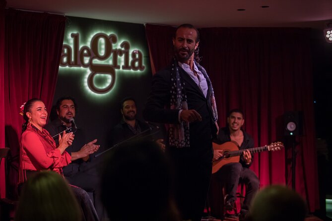Flamenco Passion in Málaga: Show With Optional Tasting - Venue and Atmosphere