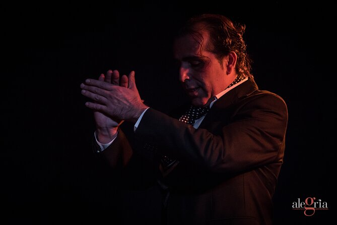 Flamenco Passion in Málaga: Show With Optional Tasting - The Sum Up