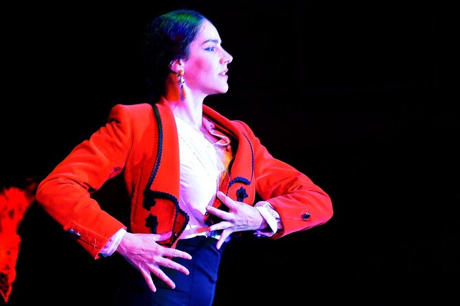 Flamenco Show at El Palacio Andaluz Admission Ticket - Flamenco Show Overview