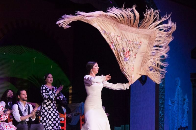 Flamenco show at El Palacio Andaluz in Seville - Who will enjoy this Seville evening