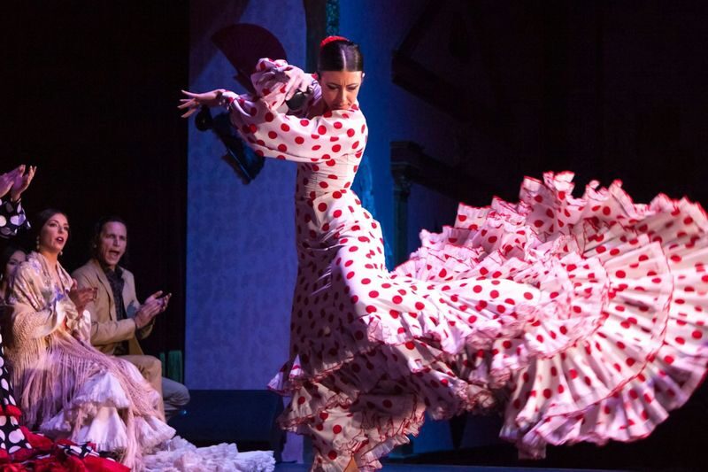 Flamenco show at El Palacio Andaluz in Seville - Should you book El Palacio Andaluz?