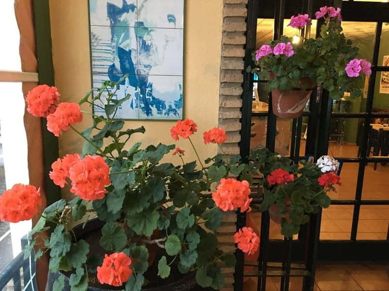 Flamenco Show: El Rompido, Huelva Coast - Who Will Love This Experience?