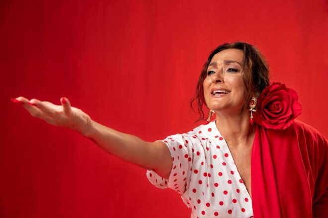Flamenco Show in Monumental Seville - Inclusions in the Tablao Flamenco