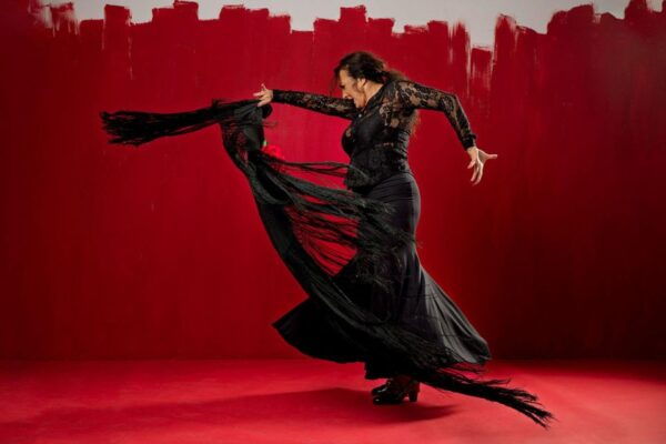 Flamenco Show in Monumental Seville - The Sum Up