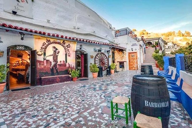 Flamenco Show in the Cave of Sacromonte - Overview and Location