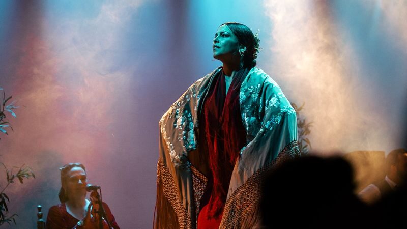 Flamenco Show Ticket at City Hall Theatre in Barcelona - At a glance