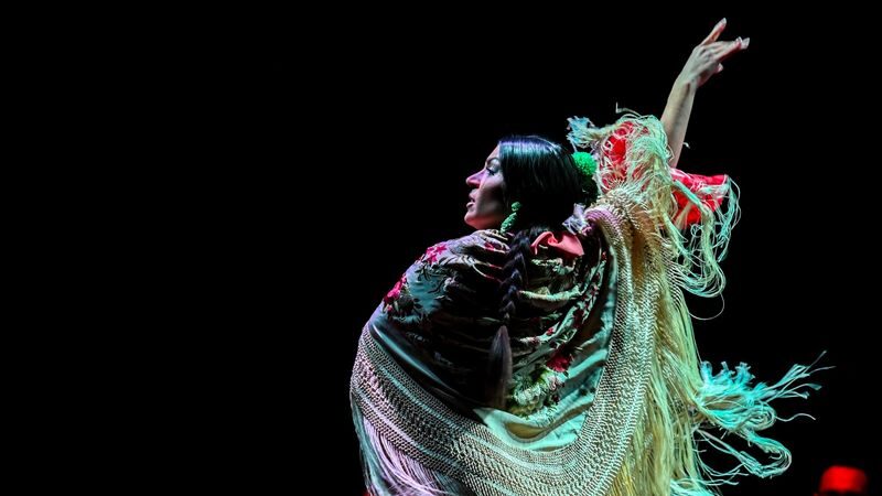 Flamenco Show Ticket at City Hall Theatre in Barcelona - Flamenco in a compact Barcelona theater