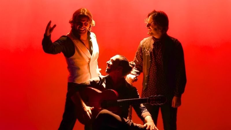Flamenco Show Ticket at City Hall Theatre in Barcelona - The 19th-century stage and intimate room