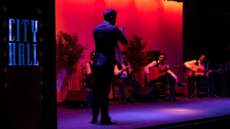 Flamenco Show Ticket at City Hall Theatre in Barcelona - Choosing a seat and judging the price
